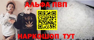 герыч Кингисепп