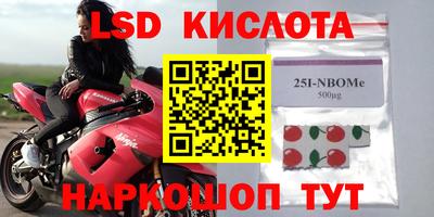 герыч Кингисепп
