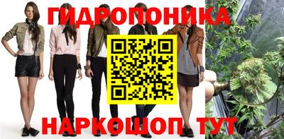 герыч Кингисепп