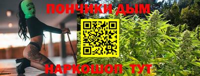 индика Кимры