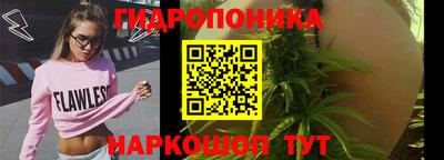 индика Кимры