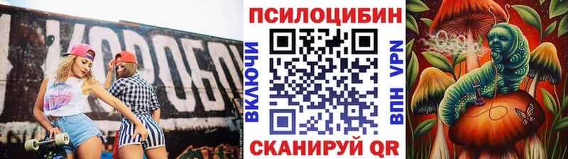 мега зеркало  Кропоткин  Галлюциногенные грибы GOLDEN TEACHER 